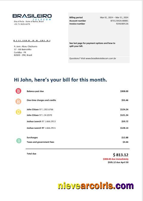 Brazil Braziliero Telecom business telecommunication bill
